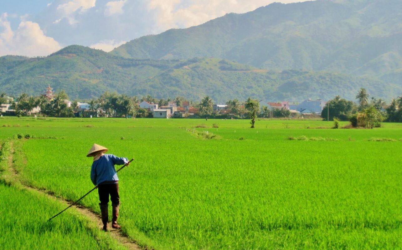 Đất ruộng là loại đất được sử dụng để canh tác và trồng trọt nông nghiệp Làm móng nhà trên nền đất ruộng