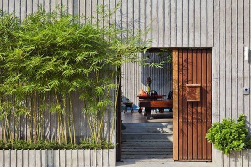 Trồng cây trước nhà Trồng cây trước nhà